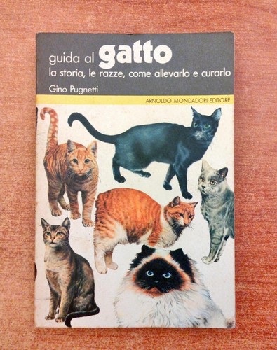 Guida gatto la storia le - al,