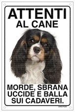 CAVALIER KING nero Attenti al