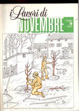 I LAVORI DI NOVEMBRE sup. a N. 11/1990 di VITA IN CAMPAGNA- APIARIO.. -G1