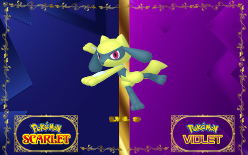 Pokemon riolu objet - riolu, +