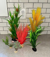 Piante per acquario in