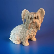 Statuina Papillon, Yorky