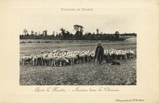 CPA Agricoltura Allevamento
