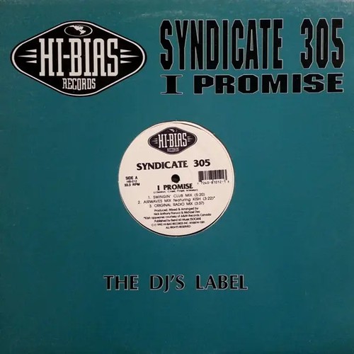 Syndicate 305 promise vinyl - 305, i
