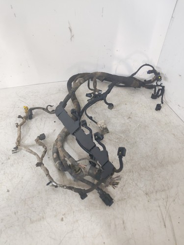 Telaio cablaggio motore - cablaggio, ford