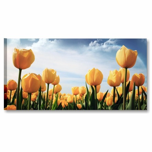 Tulipani gialli quadro - gialli,