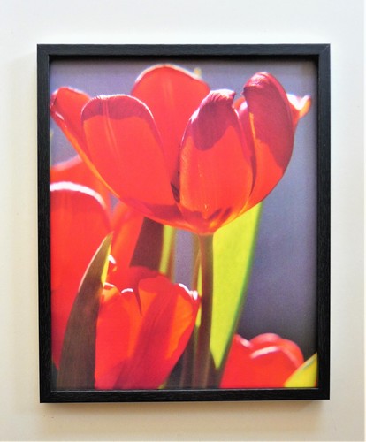 Quadro fotografia fiore rosso