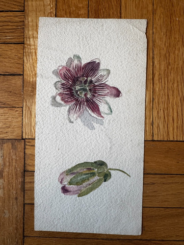 Antico quadro acquerello - antico,