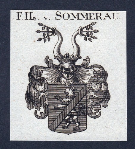 Stemma della famiglia - stemma,