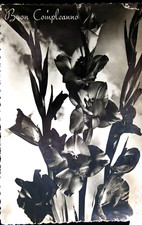 Buon Compleanno, Cartolina