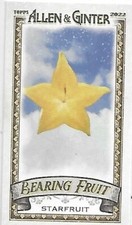 Mini cuscinetto baseball Topps