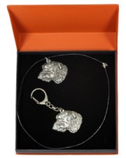 Levriero irlandese - set con