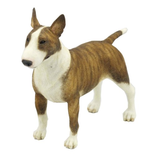 Cane bull terrier inglese - bull,