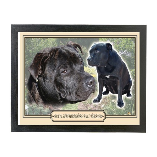 Cuscino razza cane - , lap