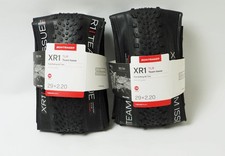 2 pneumatici MTB Bontrager XR1