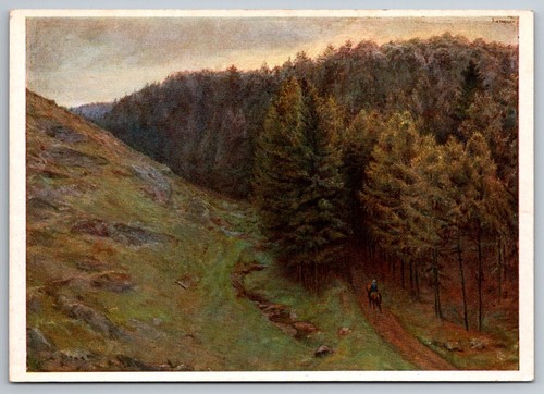 Cartolina paesaggio forestale - cartolina,