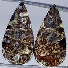 Coppia fossili di agata