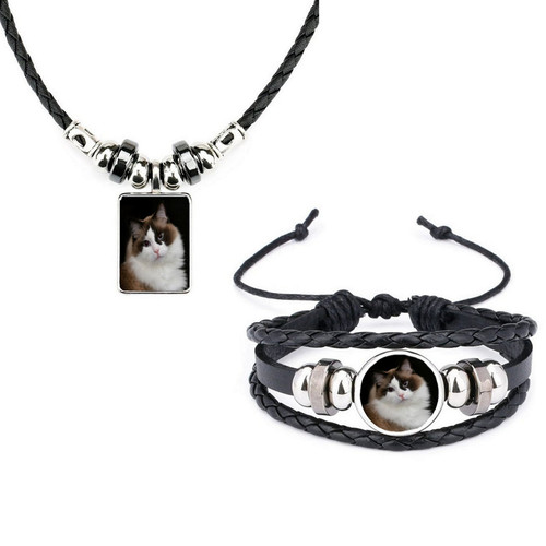 Set rag doll cat - of, pet