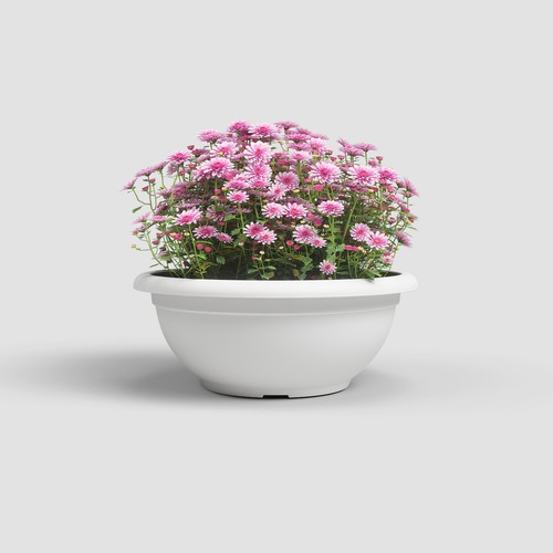 Vaso genova satinato per - "genova",