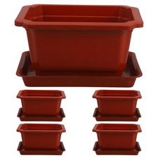  5 Sets Vasi Per Bonsai