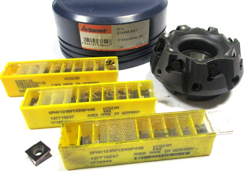 Garant wsp testa fresa 214495 - garant,