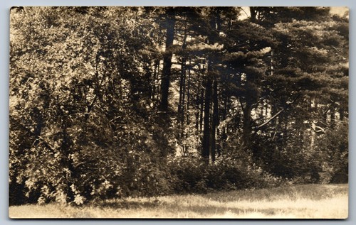 Cartolina 1920 rppc - cartolina, c.1920