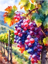 Piastrella Murale Vigneto