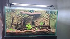 acquario completo Con Mobile E Sump