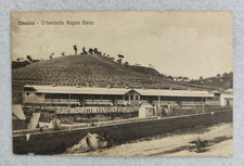 cartolina messina orfanotrofio regina elena viaggiata 1918 formato piccolo