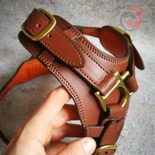 Imbracatura per Cani No Pull con Manico Guinzaglio e Collare | Punto Fatto a Mano Nome Personalizzato