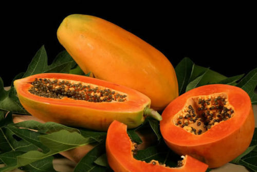 Carica papaya - carica,