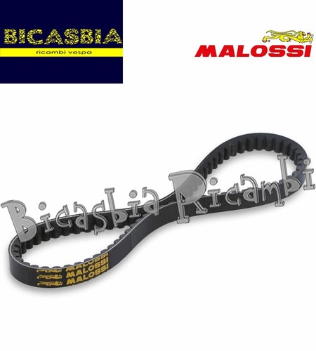 20877 cinghia malossi - 20877,