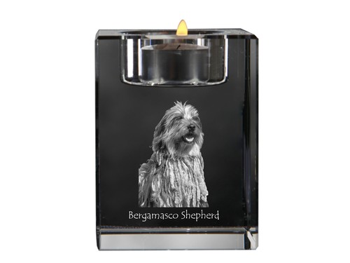Cane pastore bergamasco - da,