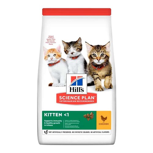 Hill kitten pollo cibo - kitten,