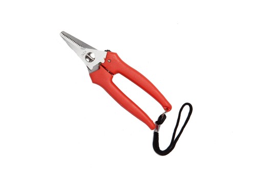 Forbici uva 15 - cm.,