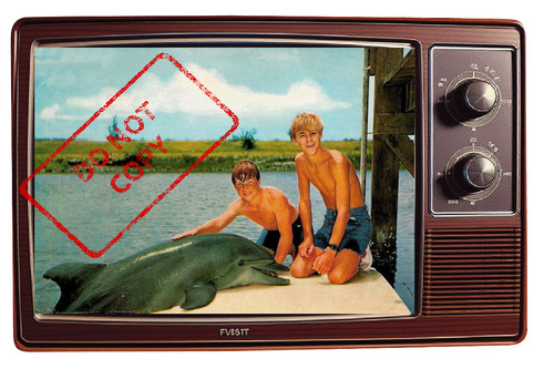 Calamita frigo retrò - , flipper