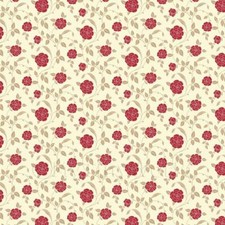 Miniatura per Casa Delle