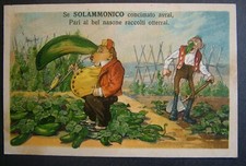 1910 Cartolina  Pubblicitaria  Solfato di Ammoniaca   Viaggiata 