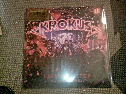 Krokus long stick - krokus, goes