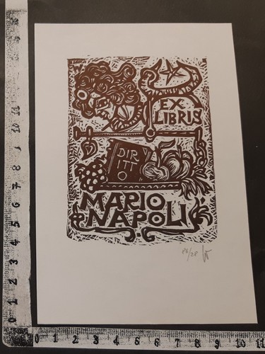 Wunderkammer exlibris - exlibris, 25