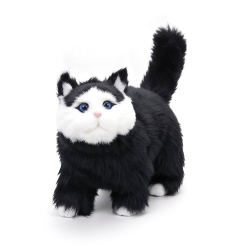 Gatto peluche con - gatto, occhi