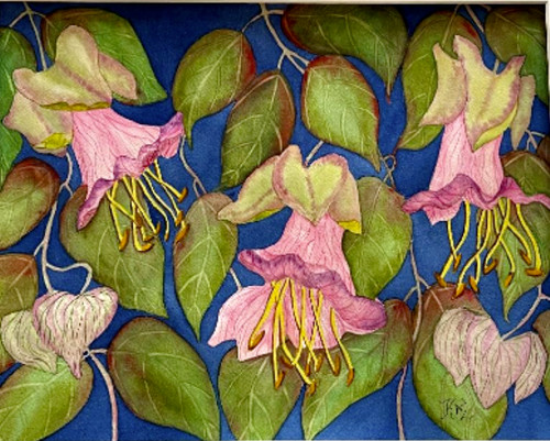 Pittura acquerello 11x14 - pittura,