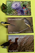 Grey wagtail, red grouse 6