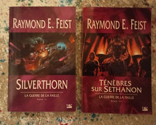 lot 2 grands formats RAYMOND