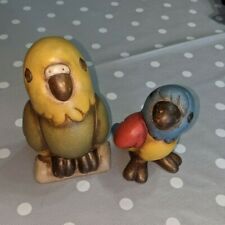 Coppia pappagalli Thun  Fuori