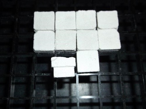 Inserto corallo frag forma - corallo,