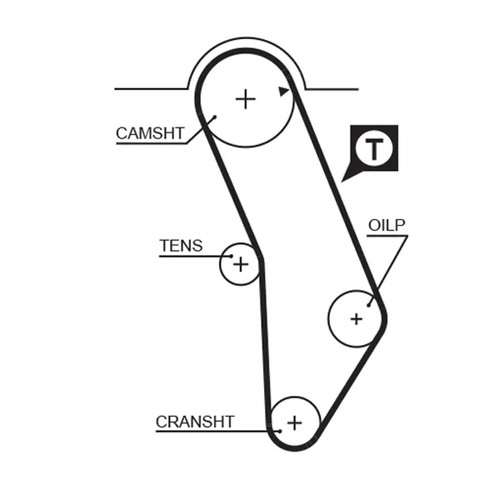 Kit cinghie dentate - , gates