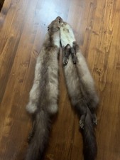 Pelle Di Faina Doppia, Unita