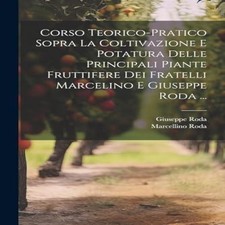 Corso Teorico-Pratico Sopra La