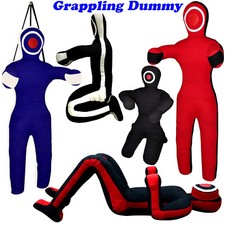 Brazilian jiu jitsu grappling